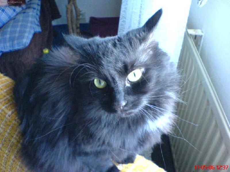 Foto: náš mazlíček