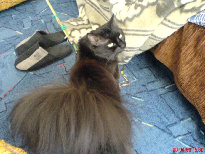 Foto: náš mazlíček