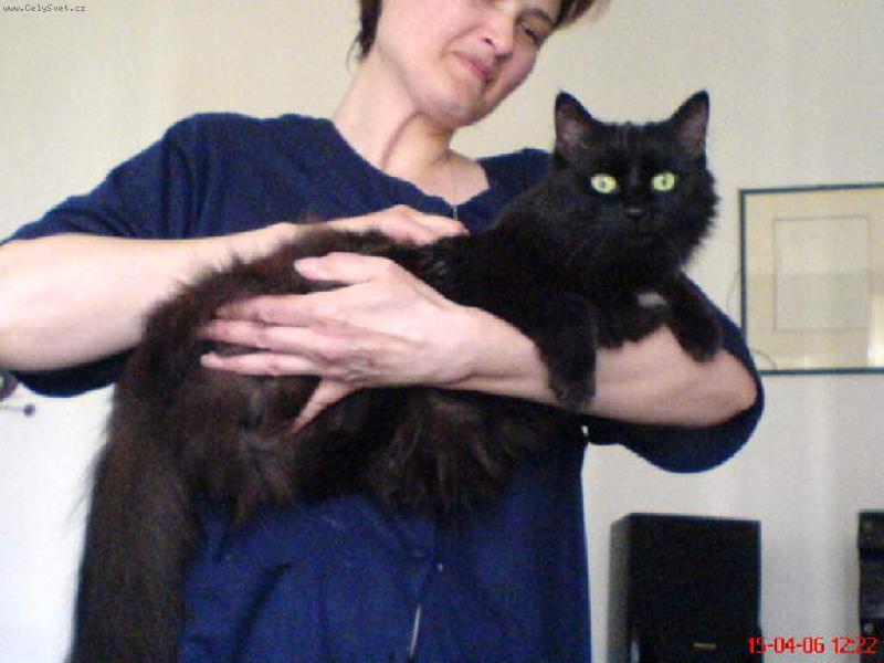 Foto: náš mazlíček