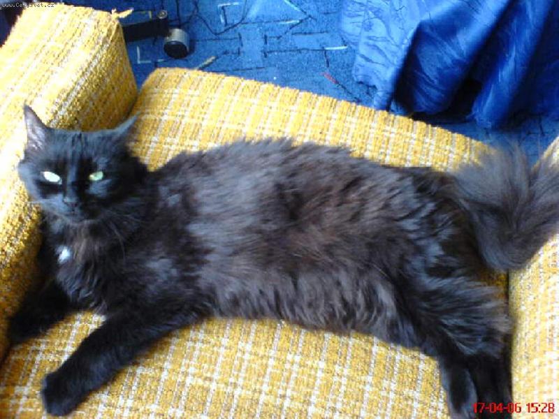 Foto: náš mazlíček