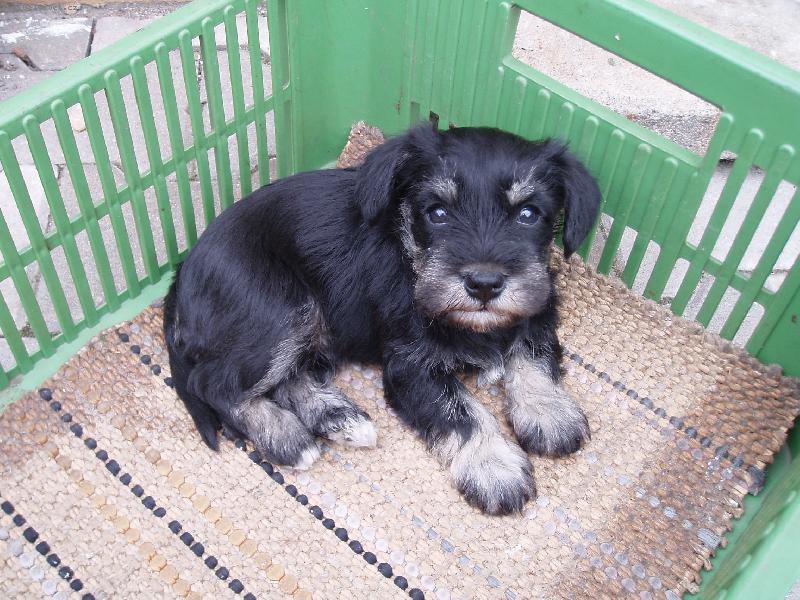 Foto: Borec-No nejsem ja krasnej