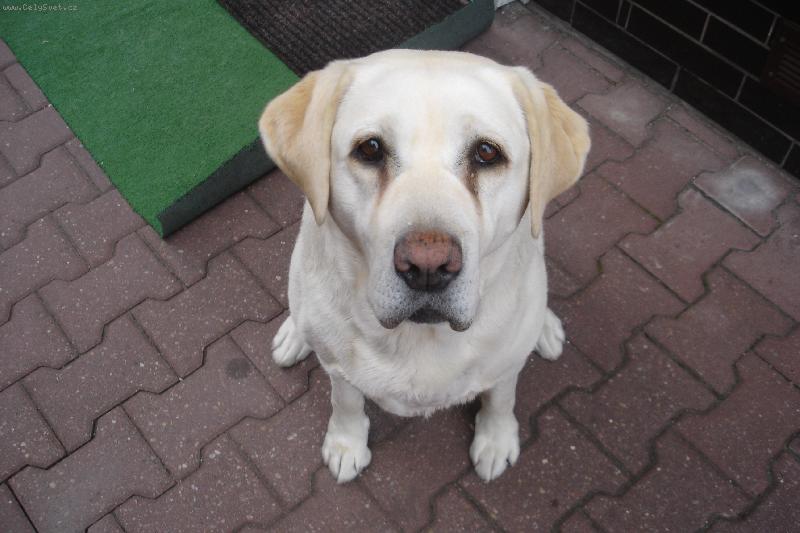 Foto: Peggynkaaa-Nas pejsanek!!!!*1*