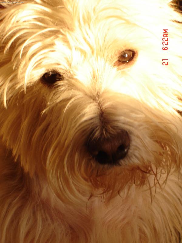 Foto: Alex-Pohodička