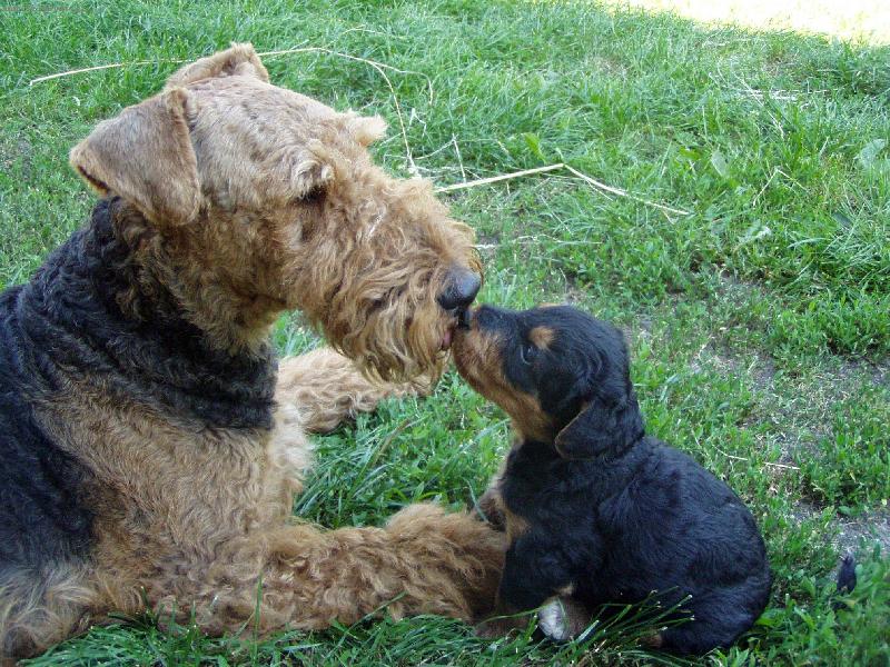 Foto: PUSU!!-To víš, že si moje!