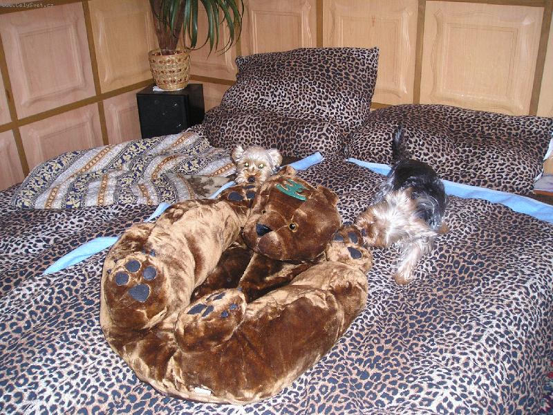 Foto: obě naše děti