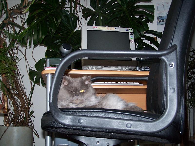 Foto: Konečne volno