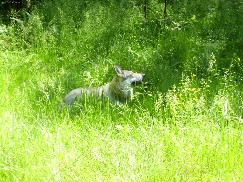 Foto: musim nachytat nejaky bronz,kde je to sluníčko?