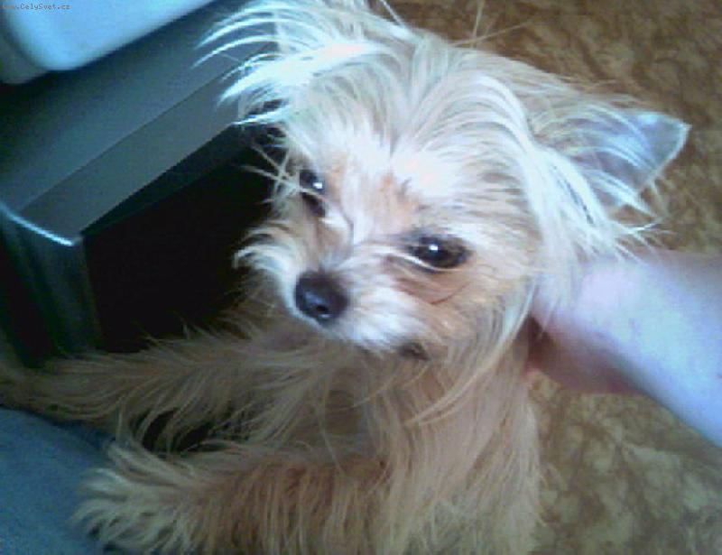 Foto: Anetka-Anetka v novém pelíšku