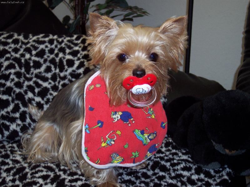 Foto: Chlupaté miminko