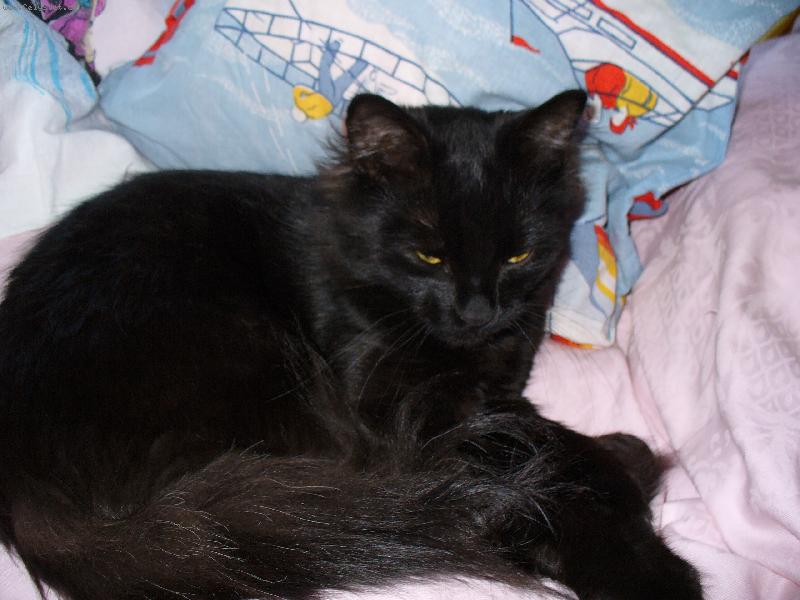 Foto: Mikšíček-...jsem unavený, jdu spát.