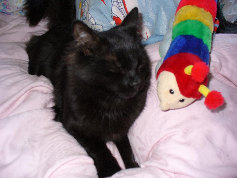 Foto: Mikšíček 1-...neboj budu tě hlídat