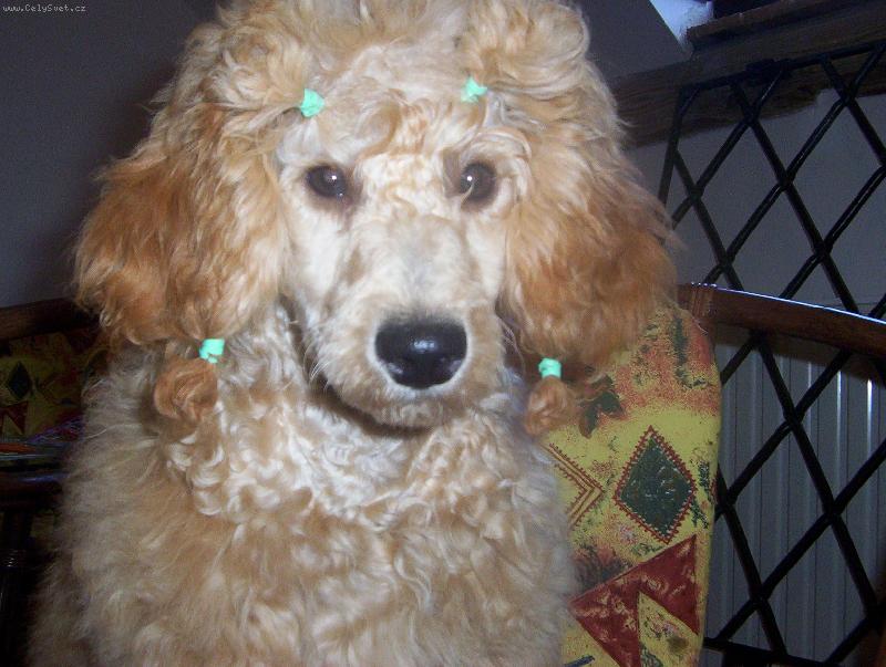 Foto: Eli-To jsem čananá !!!!!!!!!!!!!!!!!