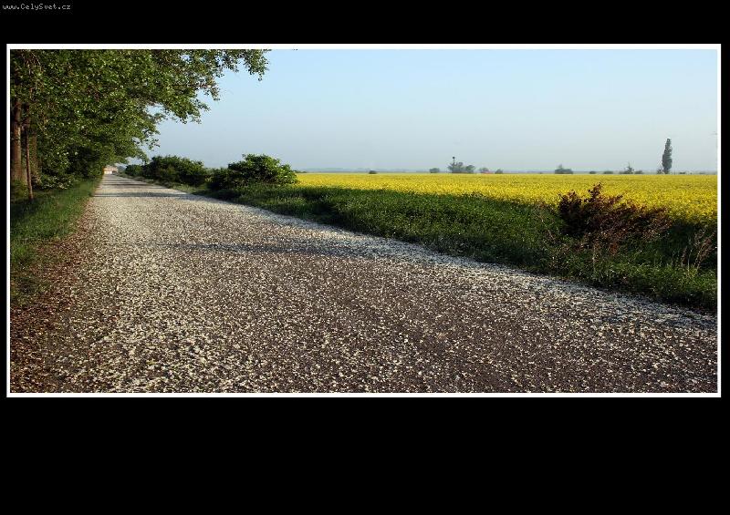 Foto: Colours of spring