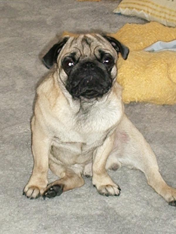 Foto: Eeeeeeeeddddddyyyyyy-Eddy a jeho oblíbený posed