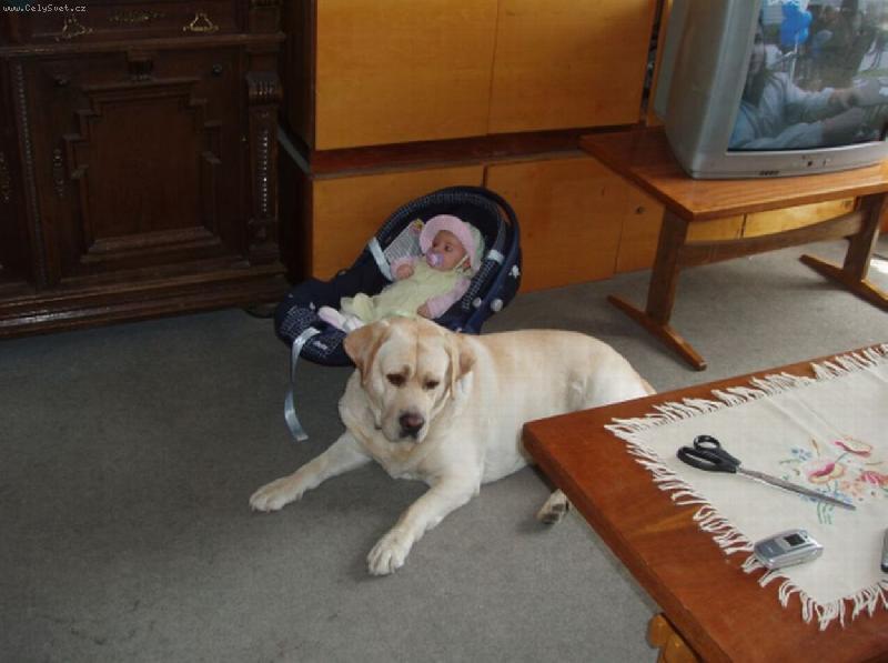 Foto: Takhle nám Benik hlídá Barunku