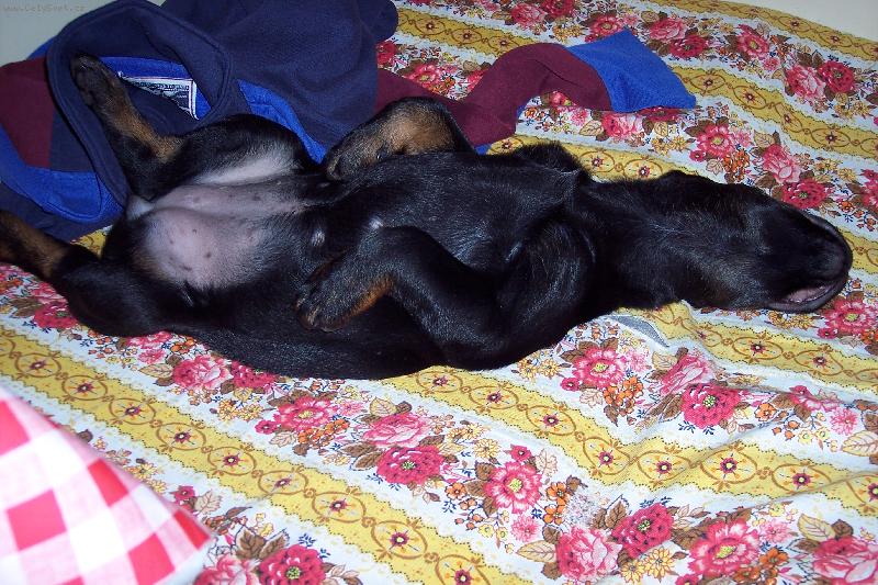 Foto: Takhle si to užívám