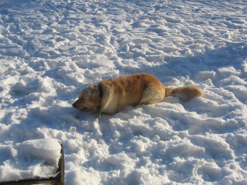 Foto: NA RYBNÍKU-NECHAL SEM NĚKDE NOHY...A SAKRA....MOJE NOHÝÝÝ
