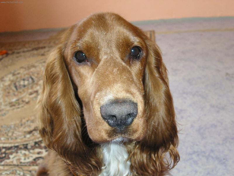 Foto: Samík-jen tak