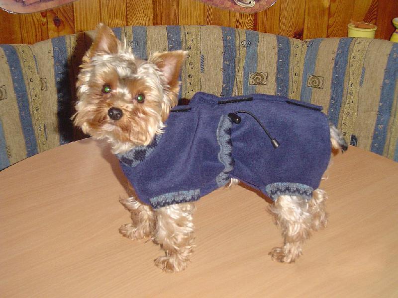 Foto: Bertík-To mi to sluší, co?