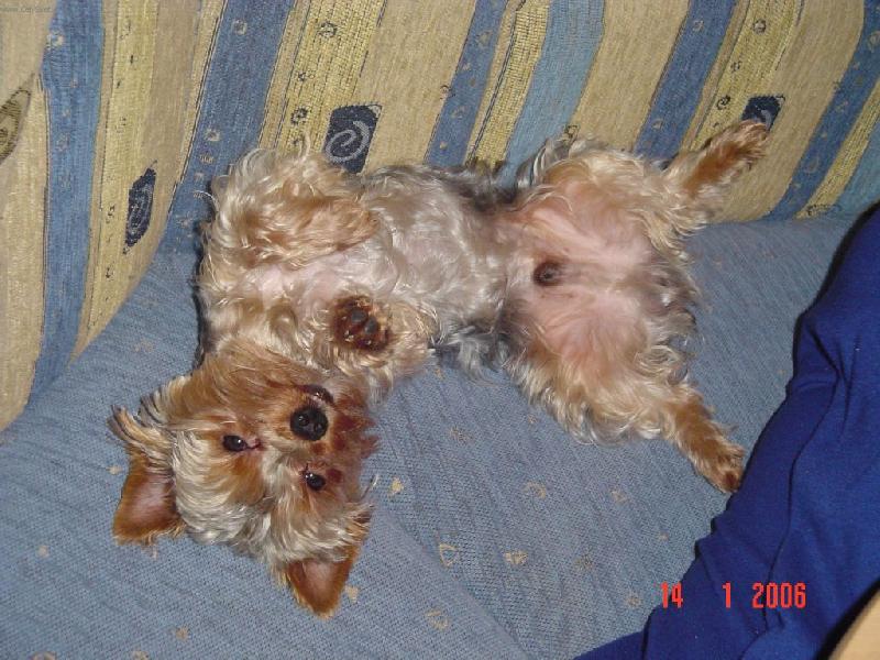 Foto: Bertík-Nerušit  ......