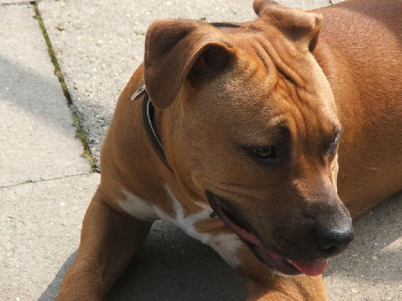 Foto: Spainek-já chci taky