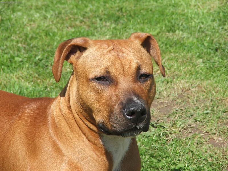 Foto: Spaik-všechno vidim