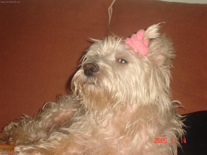 Foto: Alexíček-To jsem,ale parádník......