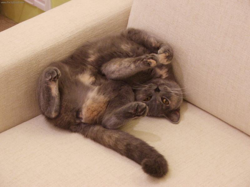 Foto: Odpolední siesta