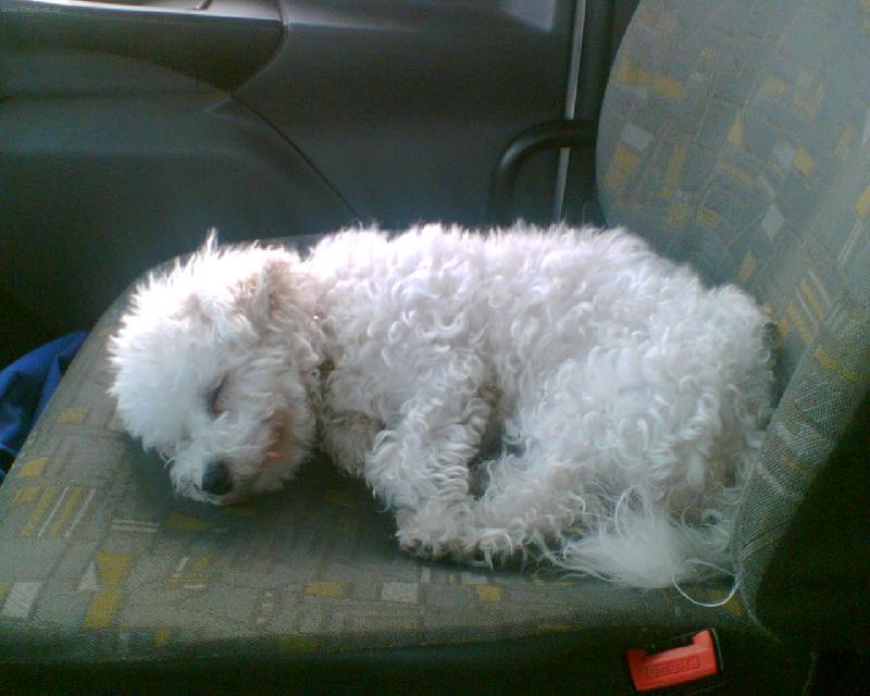 Foto: To je dřina chodit do práce!-Any jako závozníka v zaměstnání mého přítele.