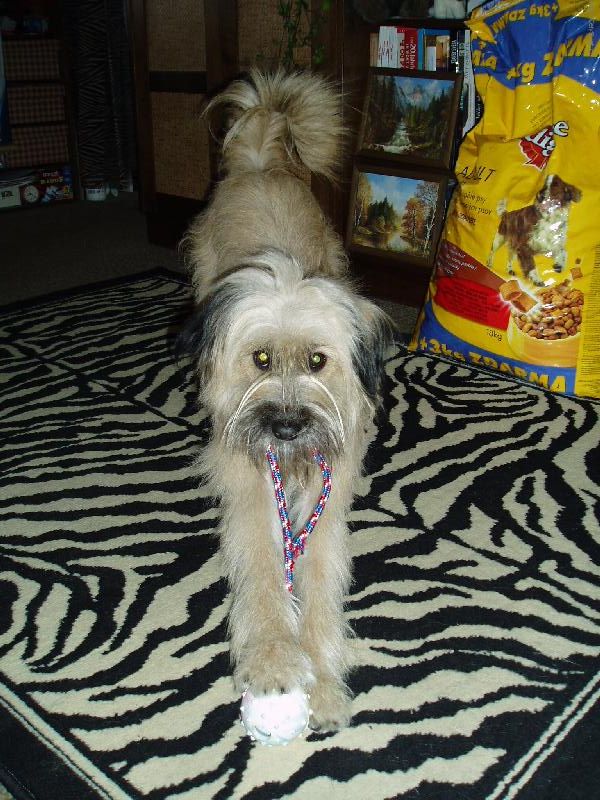 Foto: To je super míček!-Naše Danynka si ale umí hrát, frajerka ;o)