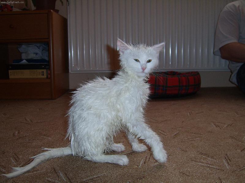 Foto: Micinka-Brr,to je ale zima!