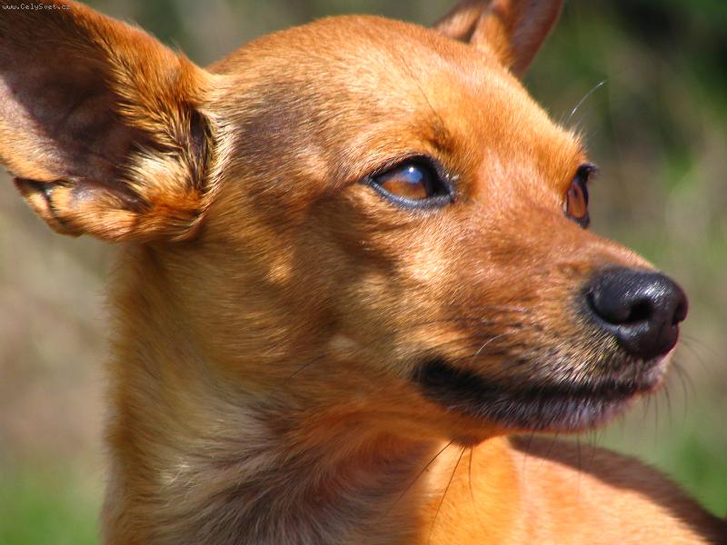 Foto: Nádherný den-Svět je tak krásný