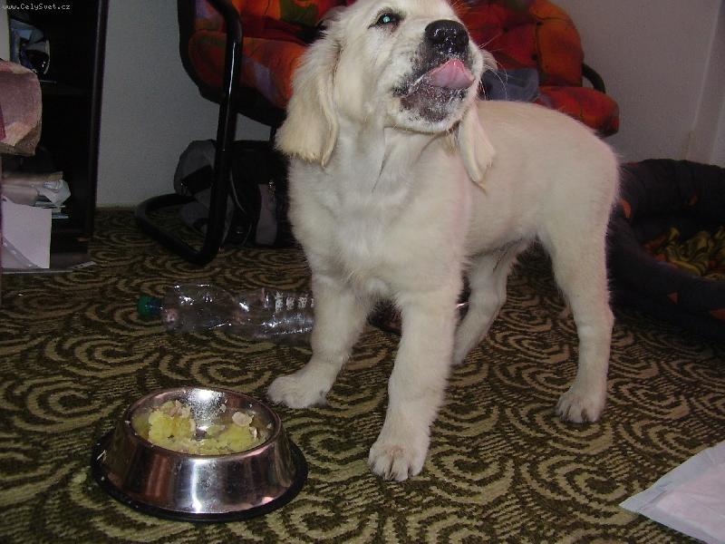 Foto: To je mňamka!-Mňam!