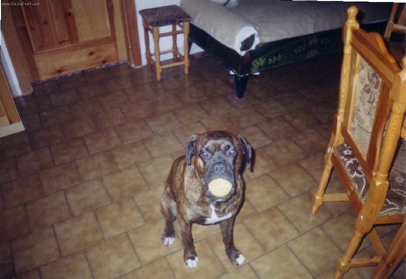 Foto: Arturek-Nikomu ho nedám,to ho radši spolknu.