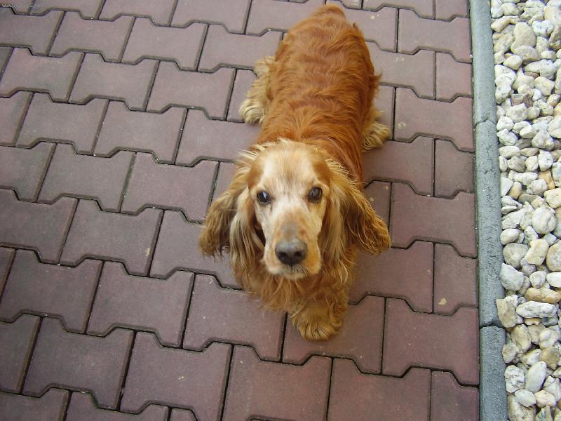 Foto: Peggy-takhle čeká na mlsotku