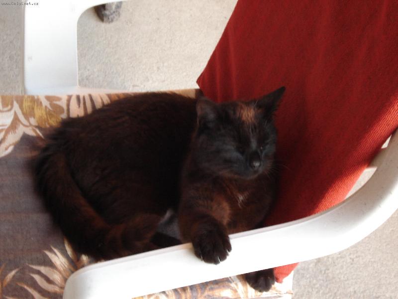 Foto: Gregorek-odpočinek po večeři