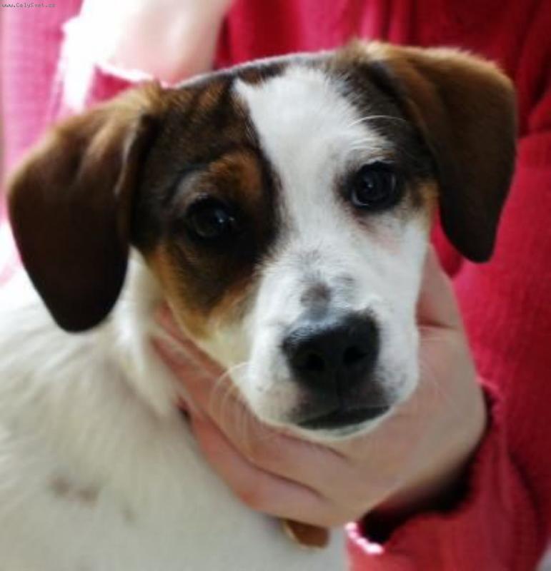 Foto: Modelka-Chvíle klidu, jen tak dlouhá, aby automat stihl zaostřit.