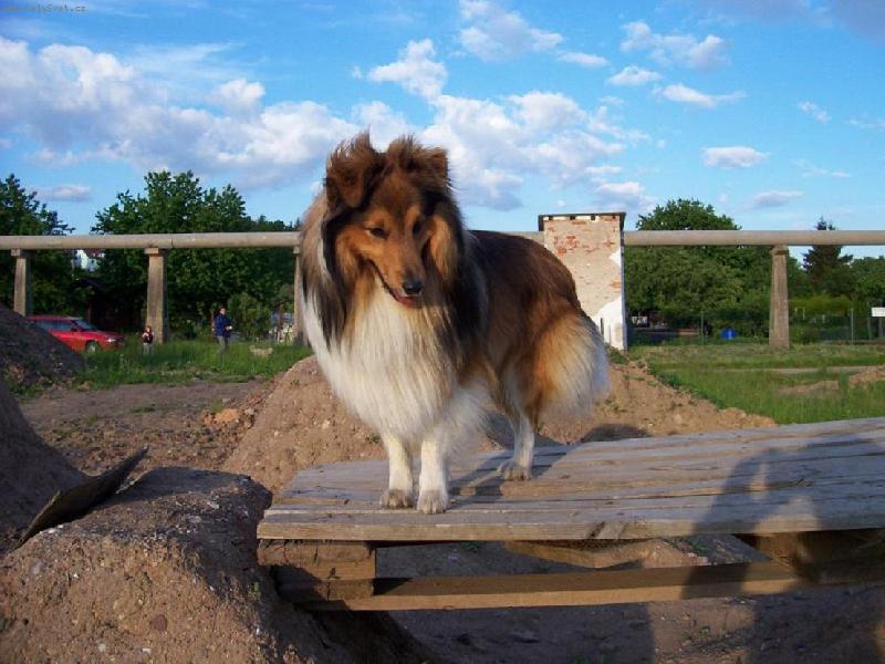 Foto: Vyhlídka-French vyhlíží svého kamaráda