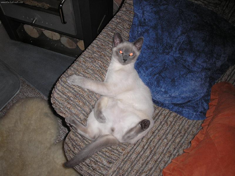 Foto: Kuba Kubikula-Pohodička na gauči