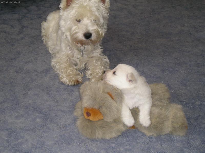 Foto: Westík-mami, to je taky bráška?