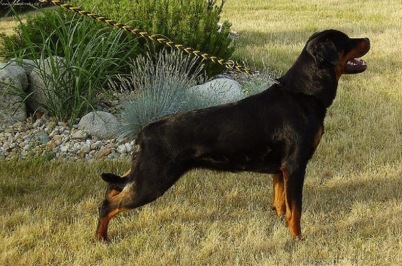 Foto: Eliška-naše krasavice