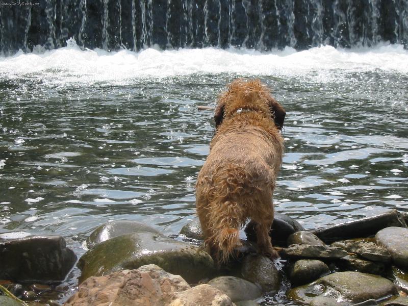 Foto: Kettynka u splavu-Do vody... možná :)