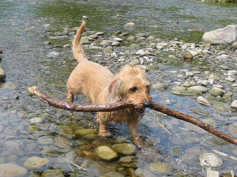 Foto: Na velikosti nezáleží...-Ale čím větší klacek, tím lepší