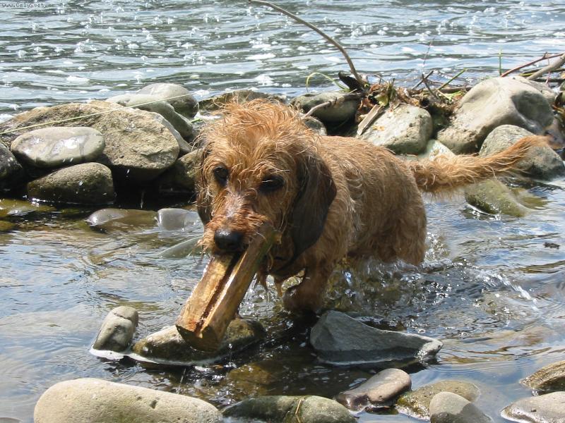 Foto: klacek vyloven-Kettynka se namočila celá