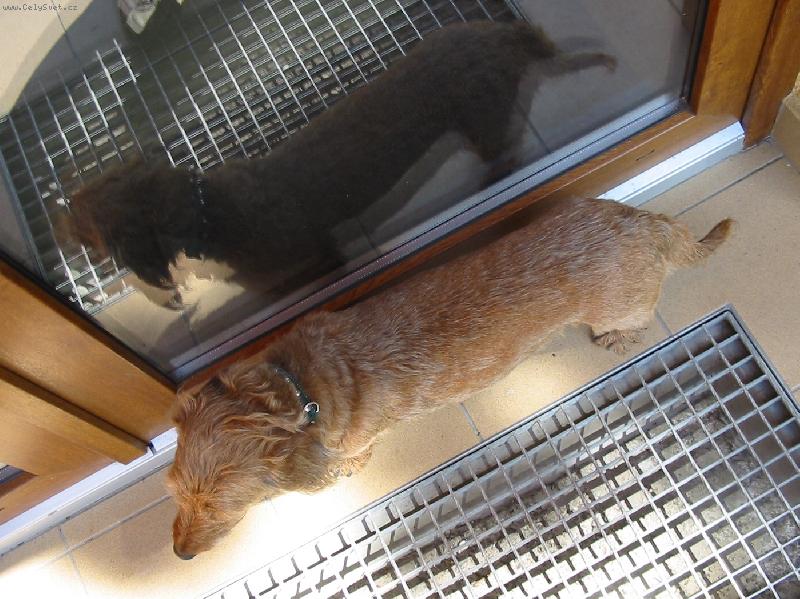 Foto: Zrcadlení-Ketty u vchodových dveří