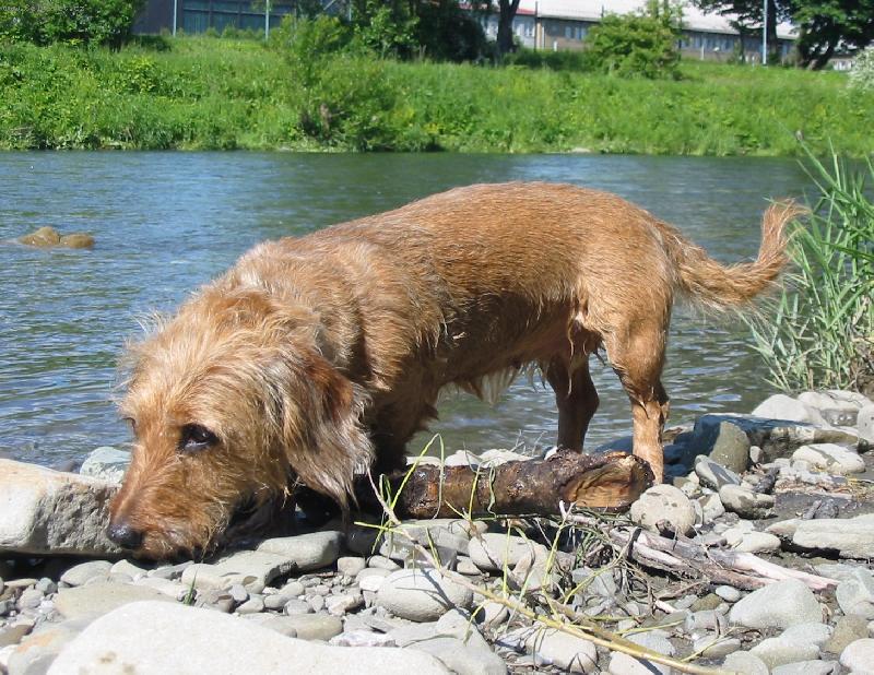 Foto: Kettynka-Na břehu Ostravice