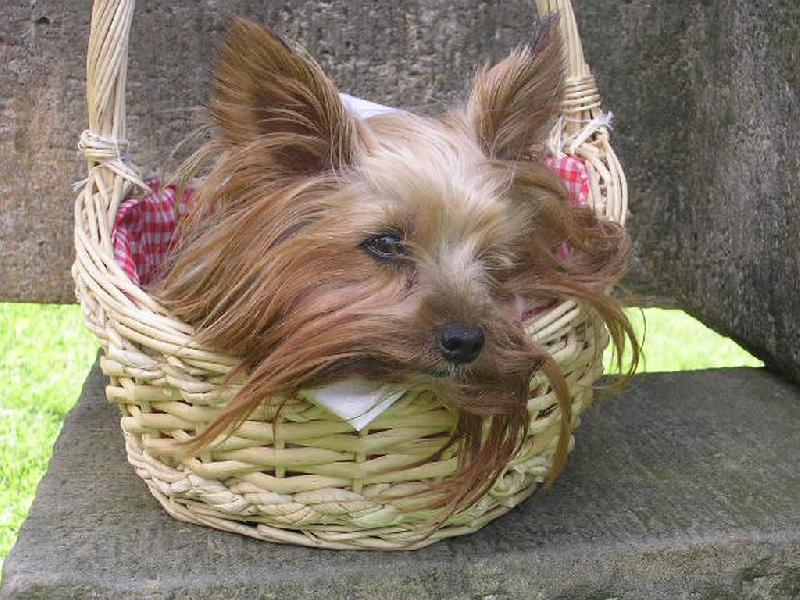 Foto: Bonny-Roztomilý Bonny ;)