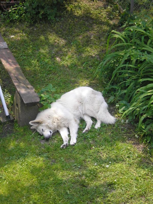 Foto: Jonášek-Mrtvolka