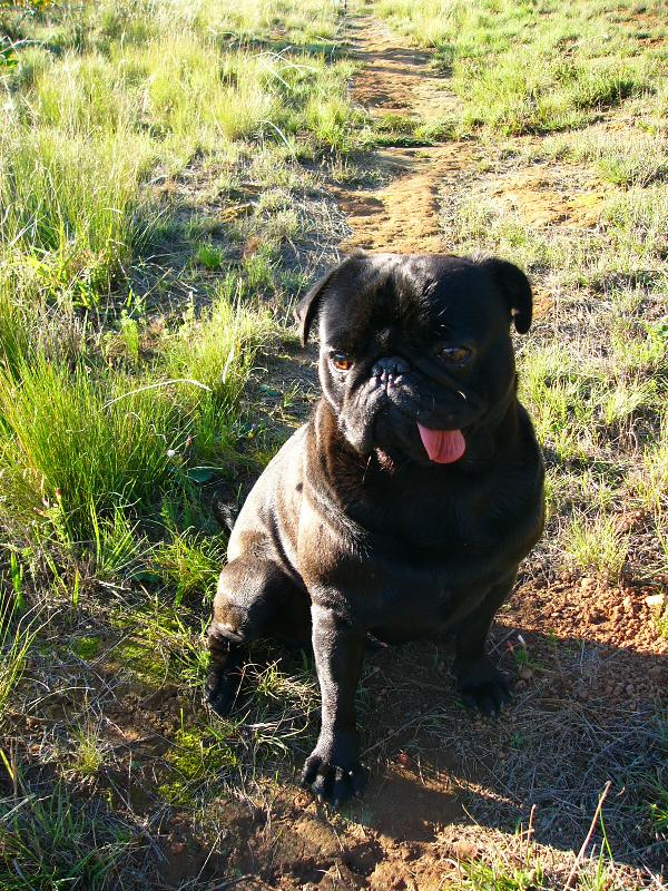 Foto: Cekani na panicku