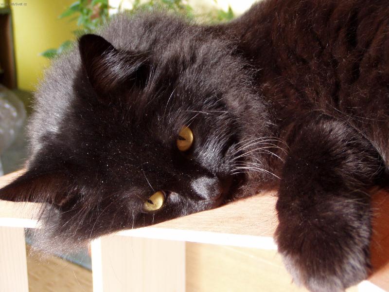 Foto: Matýsek-odpočinek